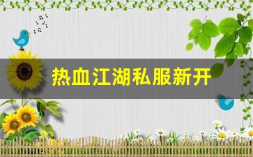 今日新开热血江湖sf：热血江湖私服新开 (6)