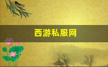 西游私服网(西游网游戏平台)