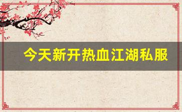 热血江湖口袋版：今天新开热血江湖私服 (4)