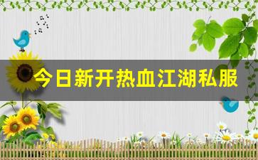 热血159：今日新开热血江湖私服 (2)