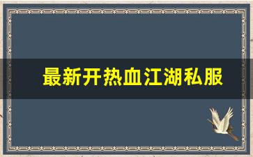 最新开热血江湖私服 (3)