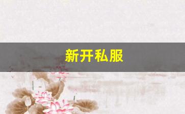 新开私服(传奇新开服网站大全) (11)