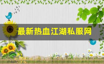 最新热血江湖私服网 (16)