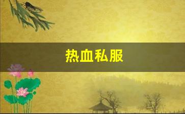 热血私服(新开1.76热血sf)