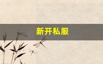 新开私服(传奇新开服网站大全)