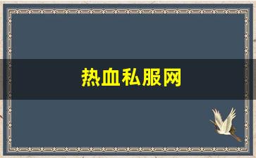 热血私服网(热血 sfc)