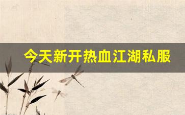 今天新开热血江湖私服 (2)