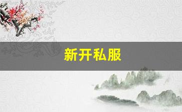 新开私服(sf999传奇新服网) (10)