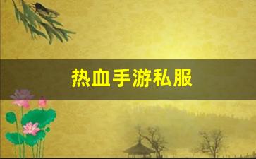 热血手游私服(热血手游官网官方网站)