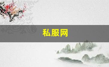 私服网(手游私sf平台) (5)