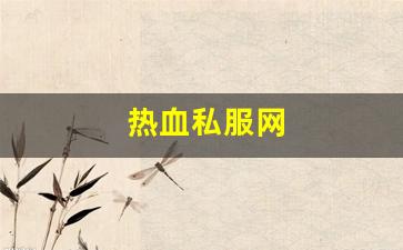 热血私服网(新开1.76热血sf) (3)