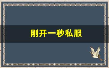 刚开一秒私服(刚开一秒传奇)