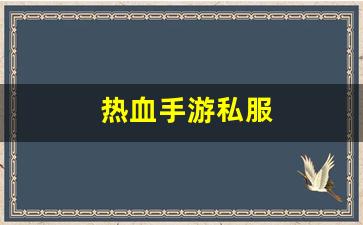 热血手游私服(热血手机版) (4)