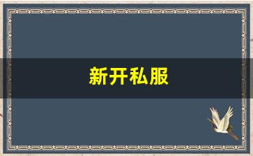 新开私服(sf999传奇新服网) (6)