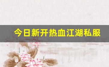 公益热血sf：今日新开热血江湖私服 (8)