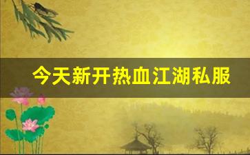 今天新开热血江湖私服 (2)
