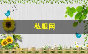 西游私服网：私服网(手游私sf平台) (2)