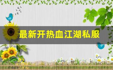 最新热血江湖：最新开热血江湖私服 (3)