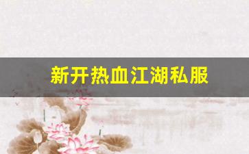 新开热血江湖私服 (7)
