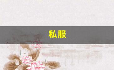 私服(伺服是什么意思) (3)
