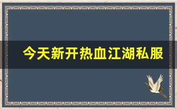 今天新开热血江湖私服 (13)