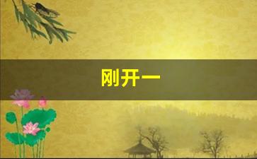 刚开一(刚开一秒传奇180合击) (2)