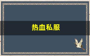 热血江湖私服网站：热血私服(热血新开sf网站) (2)