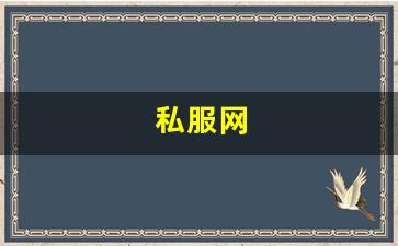 私服网(手游私sf平台) (10)