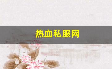 热血私服网(热血 sfc)
