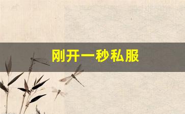 刚开一秒私服(刚开一秒手游)