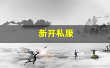 新开私服(传奇新开服网站大全) (11)