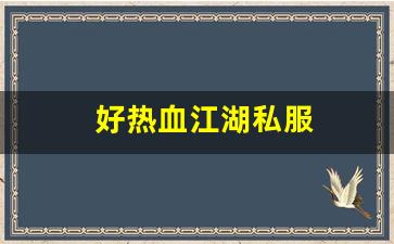 好热血江湖私服 (4)