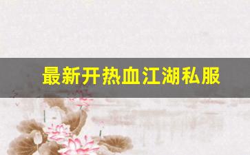 最新开热血江湖私服 (3)